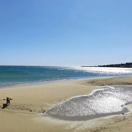 Domaine Loiseau Bleu, Mersea House At 10m From The Sea, Sainte-maxime